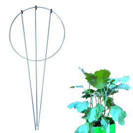 Plant Support Stakes: Garden Stem Stand  | Stainle..